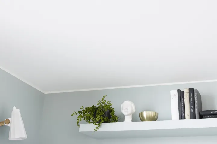 Lagede värvimine ja lakkimine