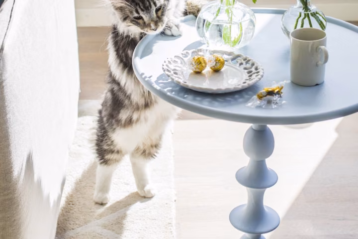 mööbel