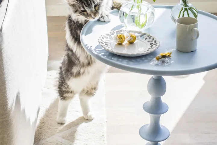 mööbel