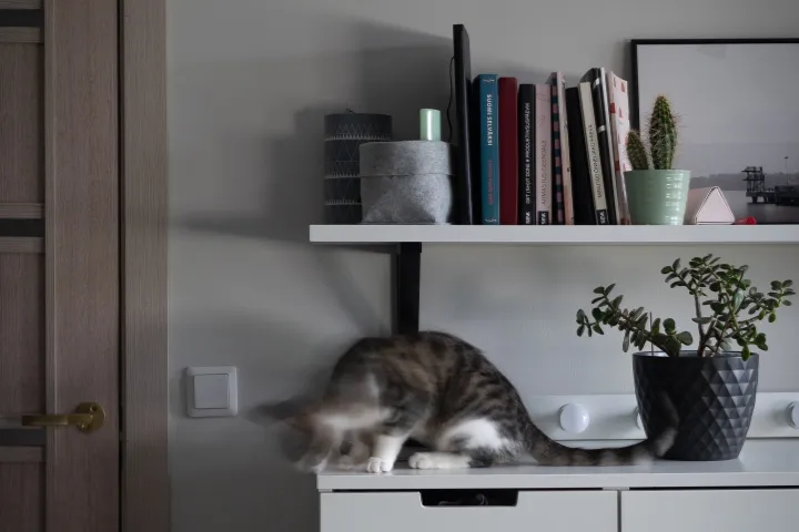 Hubane magamistuba-kodukontor