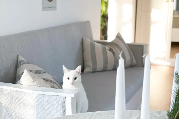 Kümme sisekujundusideed