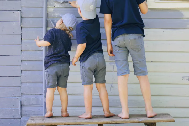 Minifarmi värvimine Villa Ultima värviga