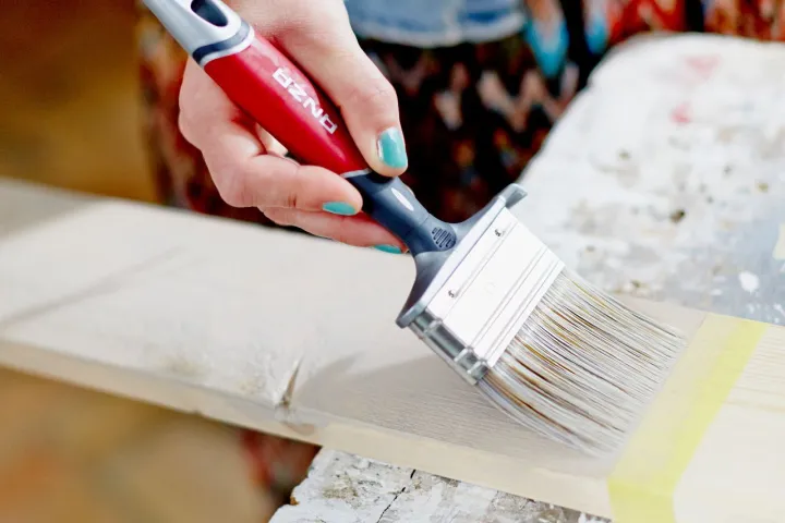 Miks valida Anza pintslid?