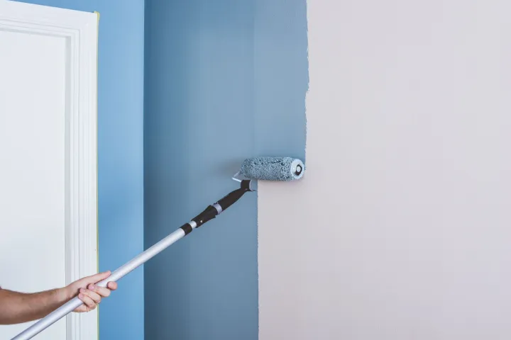 Miks valida Anza värvirull?