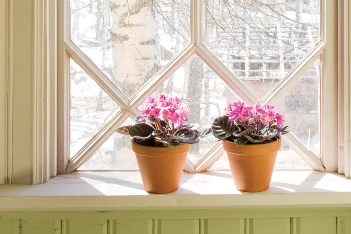 Vana aja värvide värvikaart