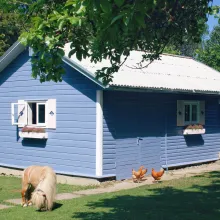 Minifarm koduloomadele