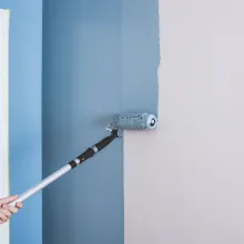 Miks valida Anza värvirull?