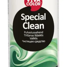 Special Clean