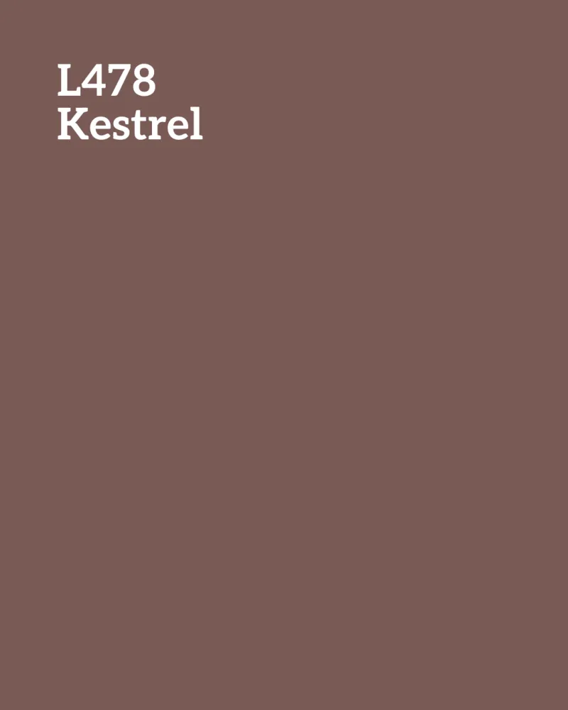 Kestrel
