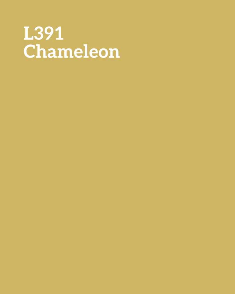 Chameleon